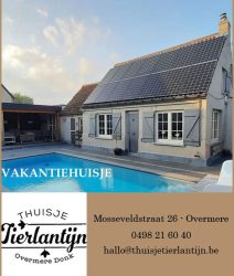 Tierlantijn